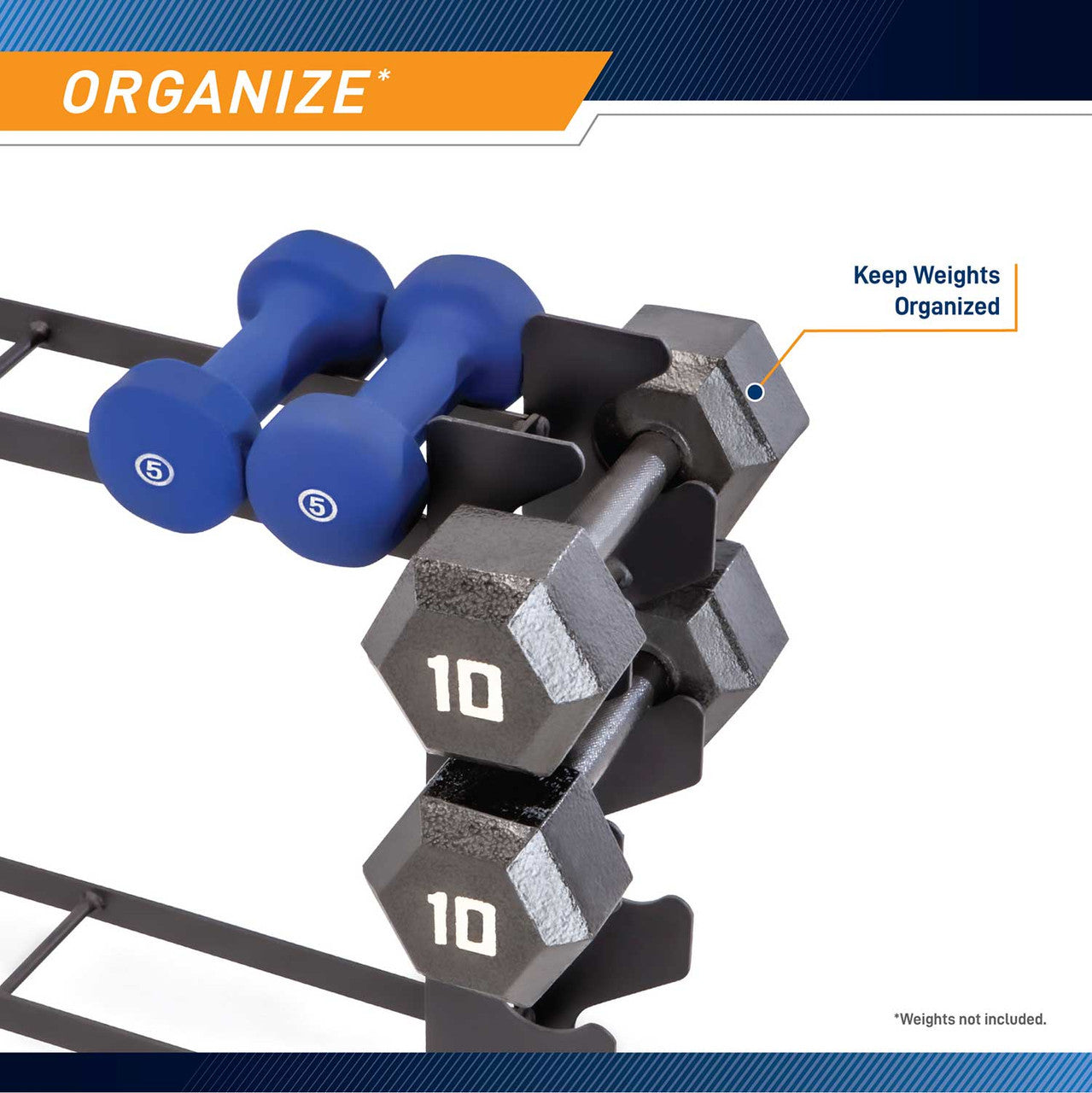 Compact Dumbbell Rack DBR-56 allows for easy weight organization.