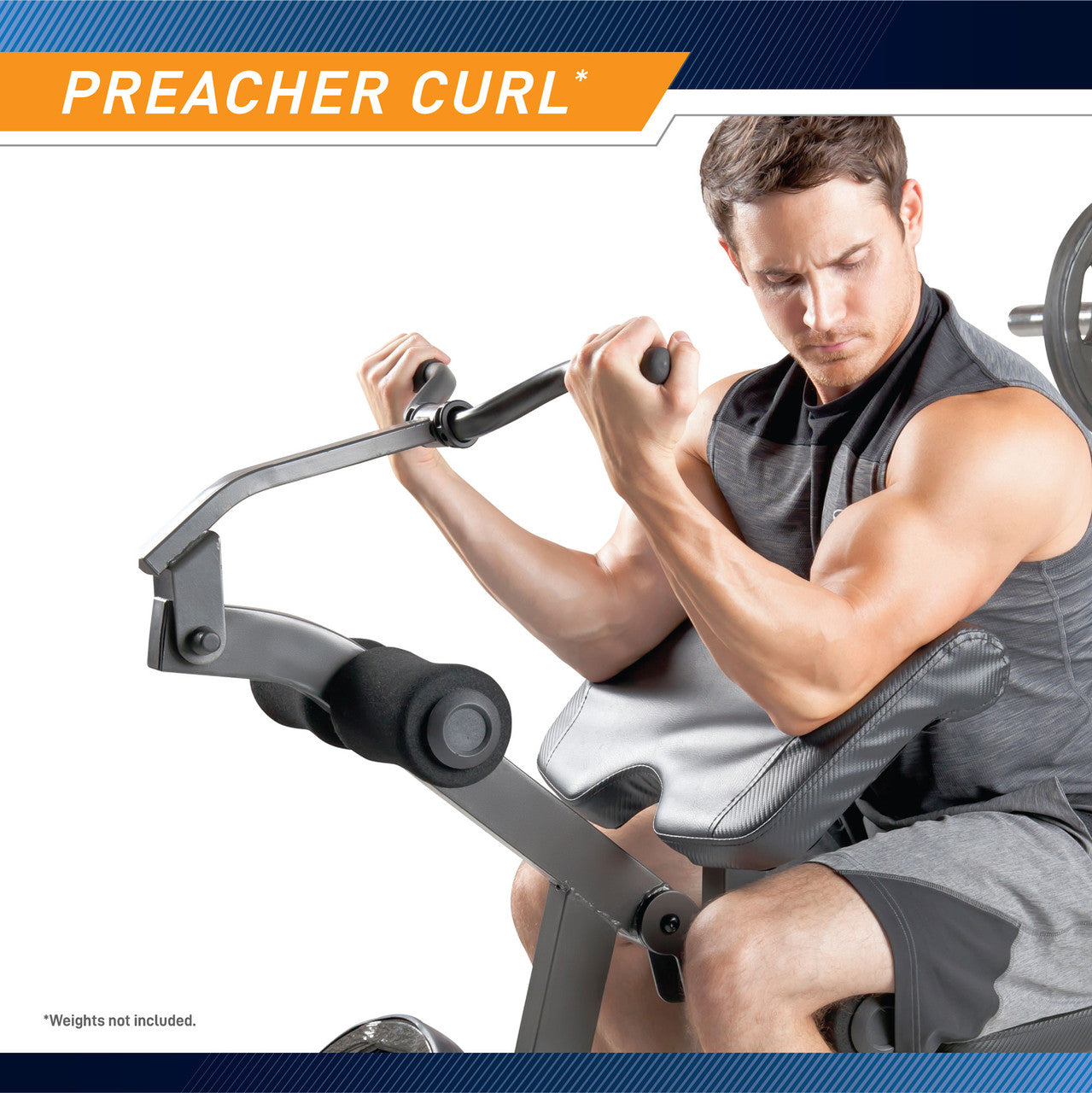 Marcy Olympic Weight Bench MD-857 - Infographic - Preacher Curl
