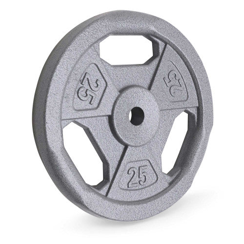 25lb Standard Size Grip Plate | B5G-5525 - Retired