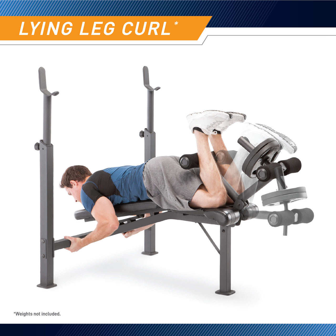 Olympic Bench  Competitor CB-729 - Infographic - Lying Leg Curl