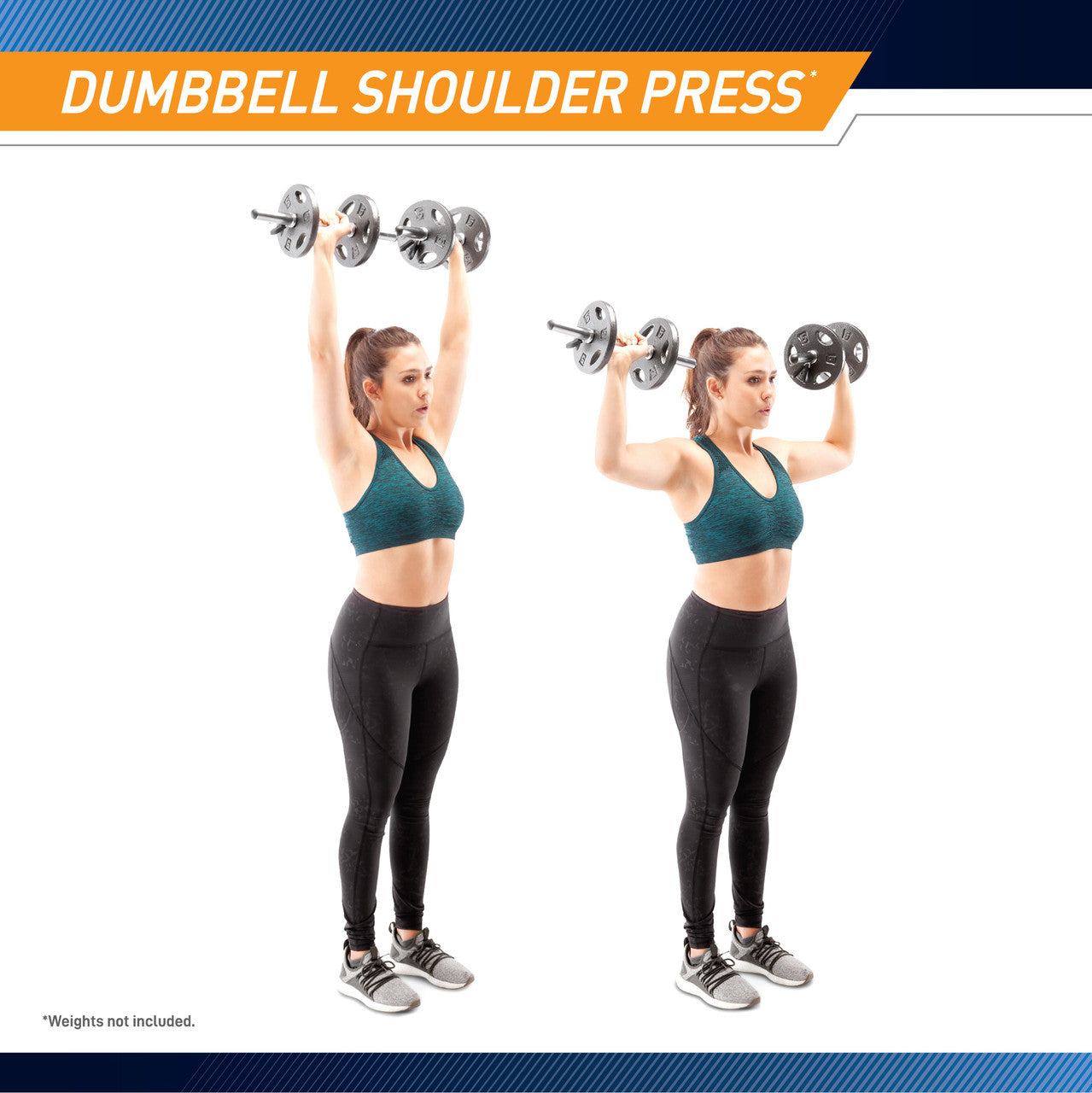 Standard Curl Bar & Dumbbell Handle Set  Marcy SDC-10.1 - Exercise Infographic - Dumbbell Shoulder Press