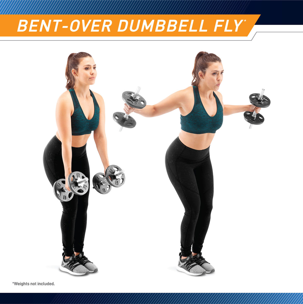 Threaded Dumbbell Handles  Marcy TDH-14.1 - Bent-Over Dumbbell Fly