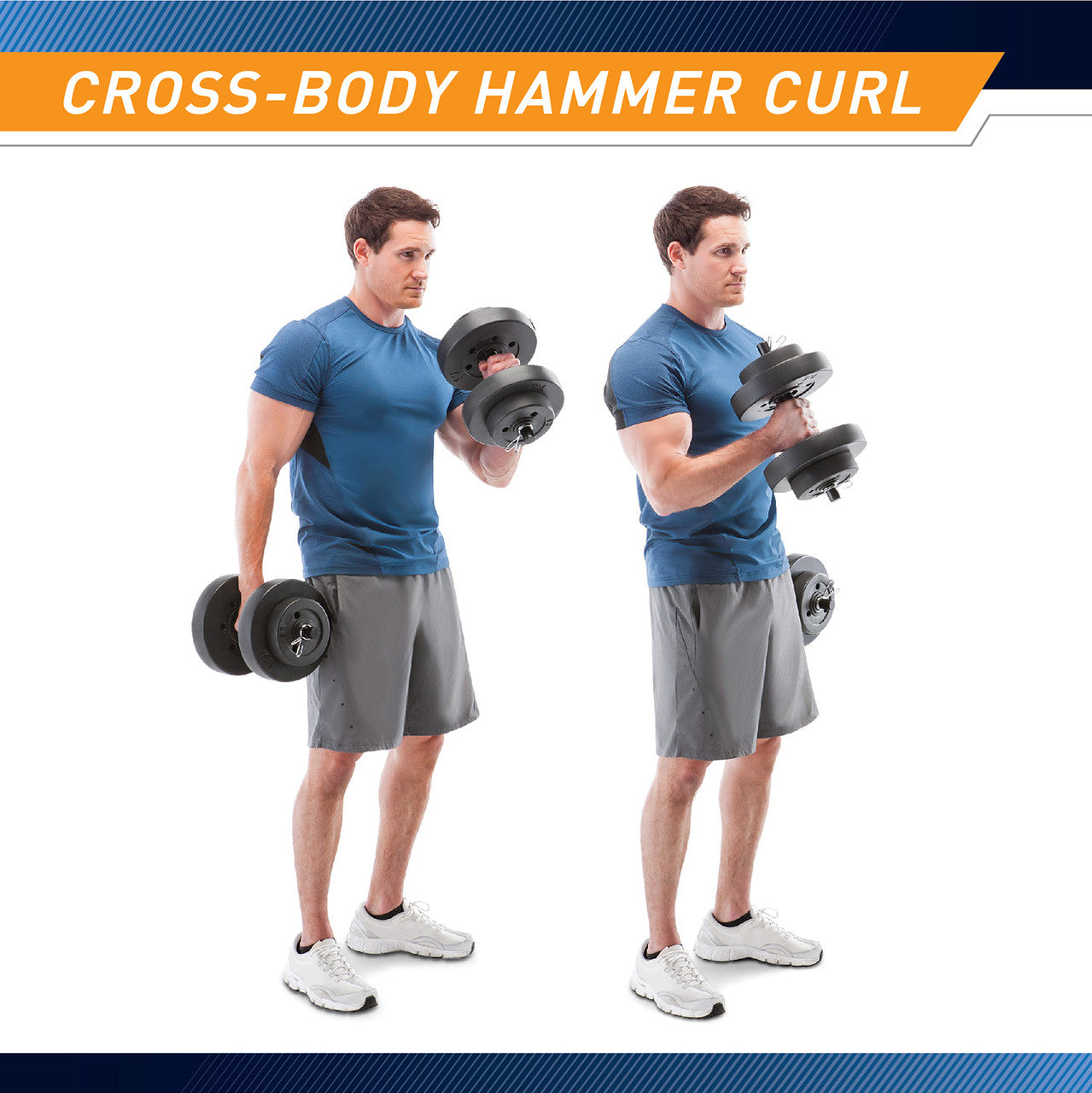 40 lbs Vinyl Dumbbell Weight Set by Marcy is perfect for performing cross-body hammer curls that targets the biceps, forearm muscles, and brachialis 